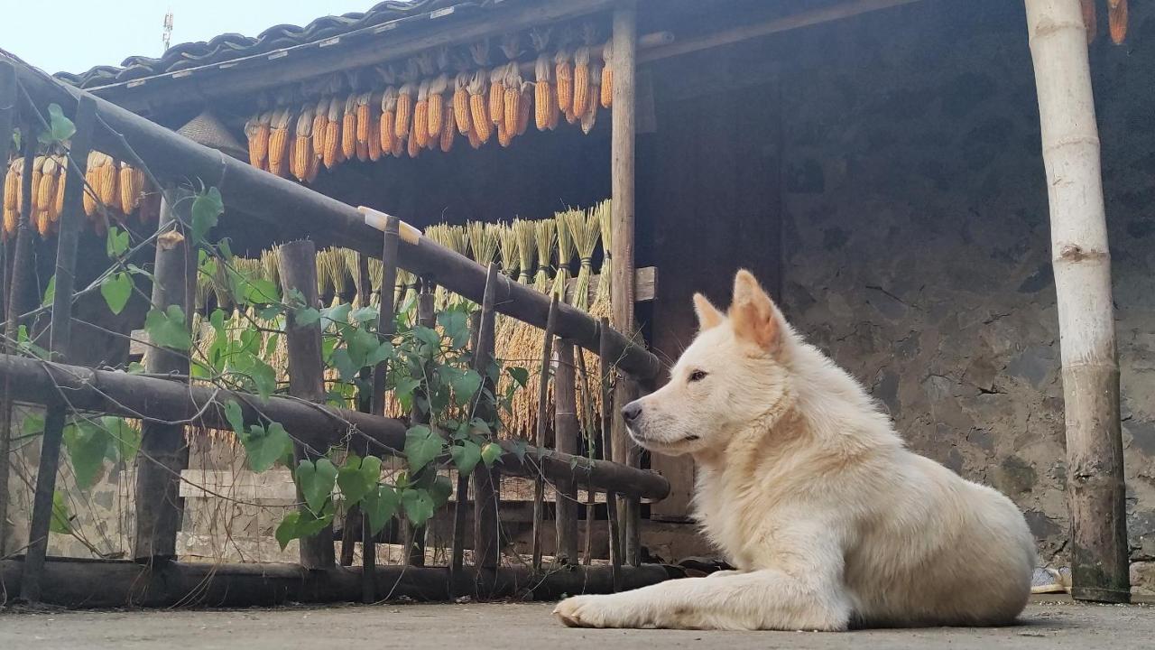 Hoang Cong Ban Gioc Homestay Cao Bang Kültér fotó